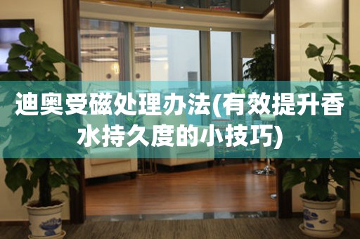 迪奥受磁处理办法(有效提升香水持久度的小技巧)