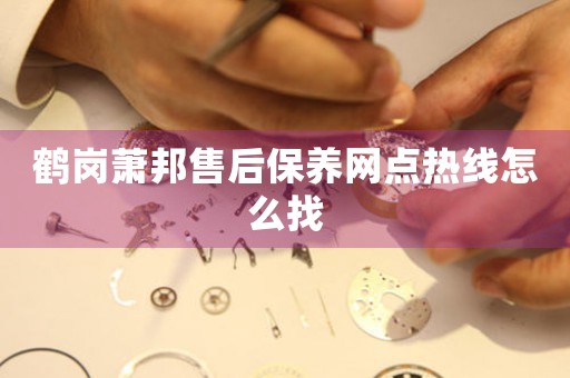 鹤岗萧邦售后保养网点热线怎么找