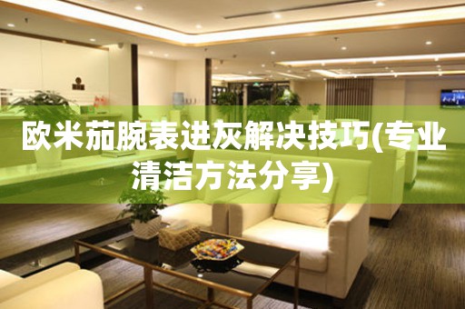 欧米茄腕表进灰解决技巧(专业清洁方法分享)