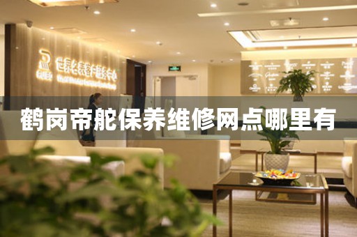 鹤岗帝舵保养维修网点哪里有