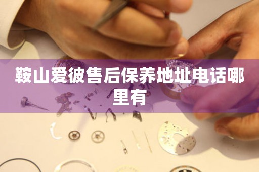 鞍山爱彼售后保养地址电话哪里有