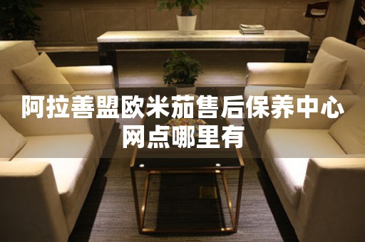 阿拉善盟欧米茄售后保养中心网点哪里有