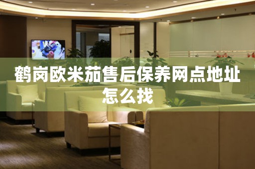 鹤岗欧米茄售后保养网点地址怎么找