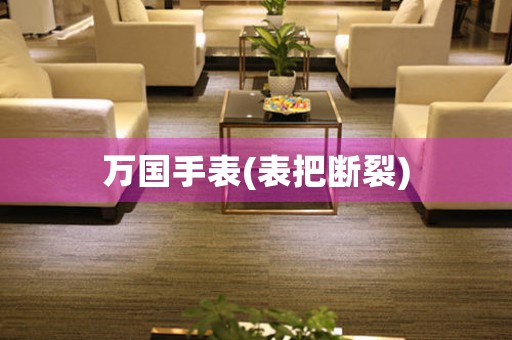 万国手表(表把断裂)