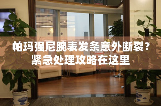 帕玛强尼腕表发条意外断裂？紧急处理攻略在这里