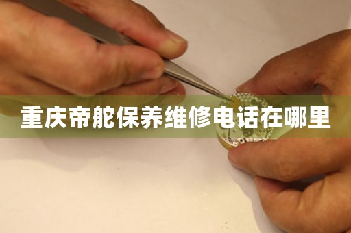 重庆帝舵保养维修电话在哪里