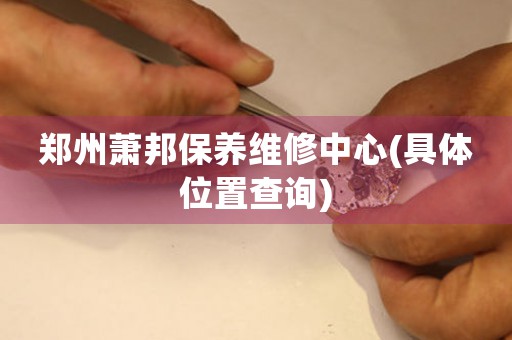 郑州萧邦保养维修中心(具体位置查询)