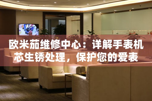 欧米茄维修中心：详解手表机芯生锈处理，保护您的爱表