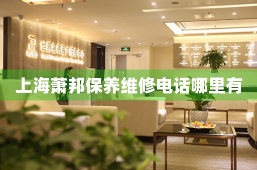 上海萧邦保养维修电话哪里有