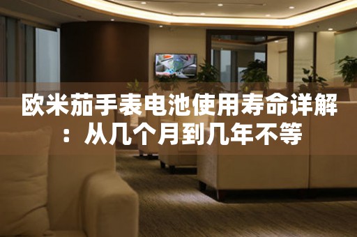 欧米茄手表电池使用寿命详解：从几个月到几年不等