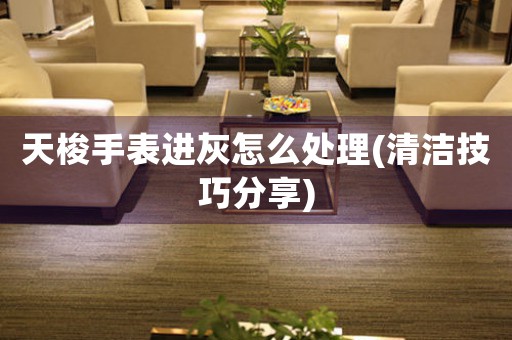 天梭手表进灰怎么处理(清洁技巧分享)