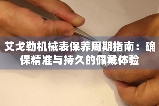 艾戈勒机械表保养周期指南：确保精准与持久的佩戴体验