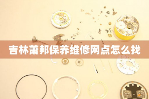吉林萧邦保养维修网点怎么找