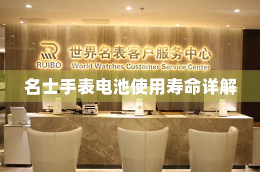 名士手表电池使用寿命详解