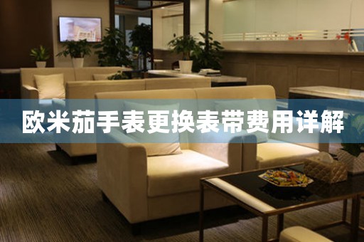 欧米茄手表更换表带费用详解