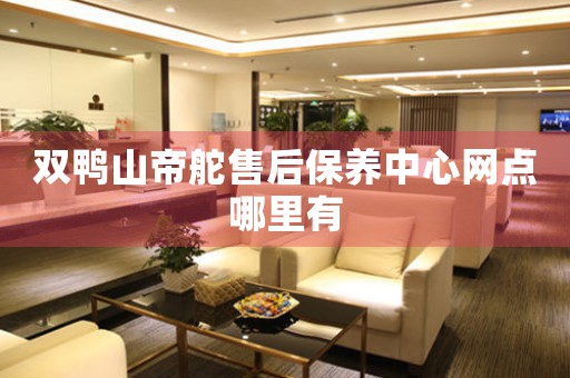 双鸭山帝舵售后保养中心网点哪里有