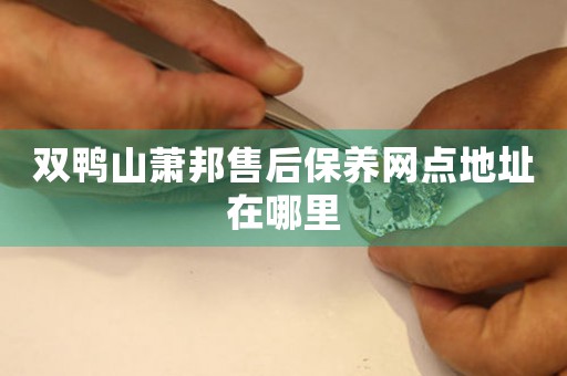 双鸭山萧邦售后保养网点地址在哪里