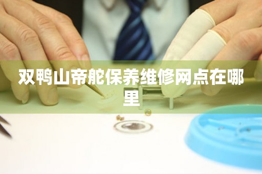 双鸭山帝舵保养维修网点在哪里