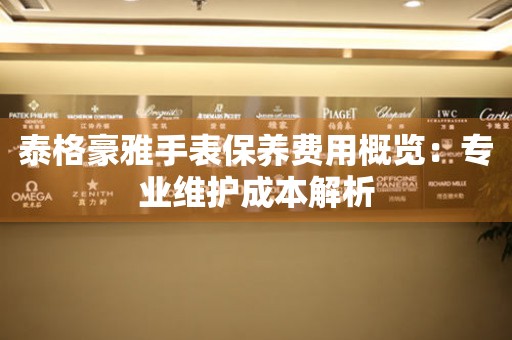 泰格豪雅手表保养费用概览：专业维护成本解析