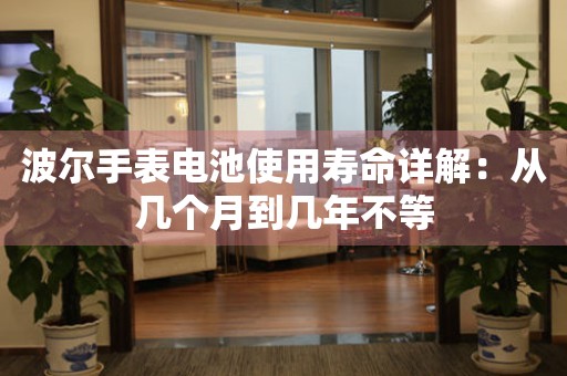 波尔手表电池使用寿命详解：从几个月到几年不等