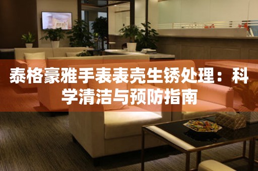 泰格豪雅手表表壳生锈处理：科学清洁与预防指南
