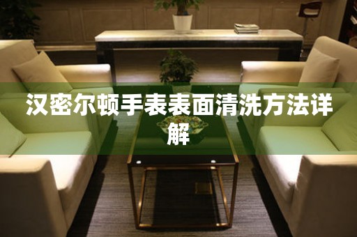 汉密尔顿手表表面清洗方法详解