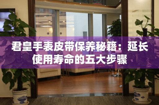 君皇手表皮带保养秘籍：延长使用寿命的五大步骤