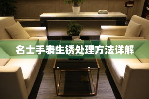 名士手表生锈处理方法详解