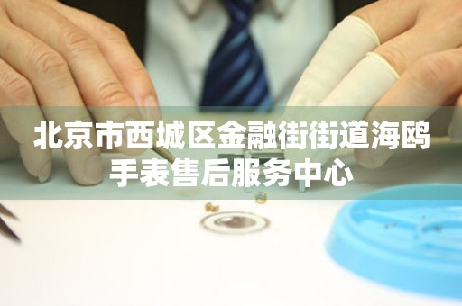 北京市西城区金融街街道海鸥手表售后服务中心