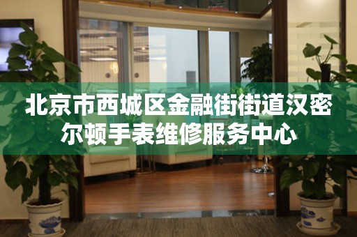 北京市西城区金融街街道汉密尔顿手表维修服务中心
