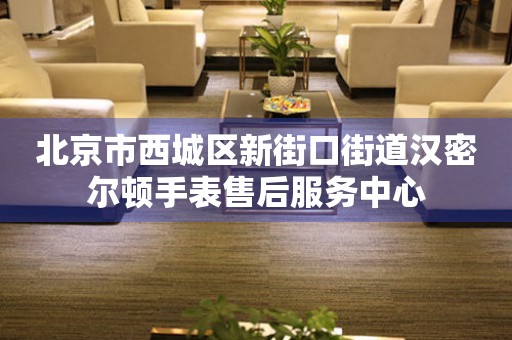 北京市西城区新街口街道汉密尔顿手表售后服务中心