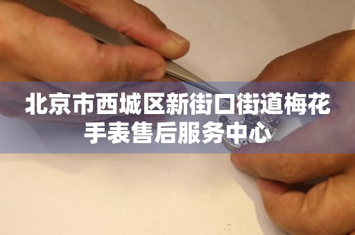 北京市西城区新街口街道梅花手表售后服务中心