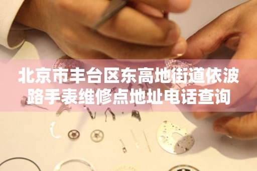 北京市丰台区东高地街道依波路手表维修点地址电话查询