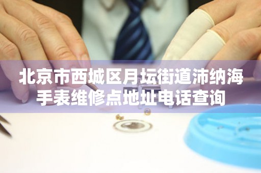 北京市西城区月坛街道沛纳海手表维修点地址电话查询