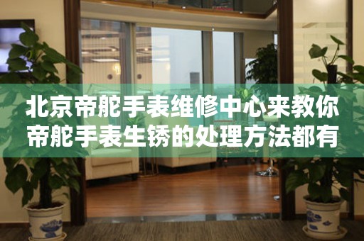 北京帝舵手表维修中心来教你帝舵手表生锈的处理方法都有哪些?(图) 北京帝舵手表维修中心来教你帝舵手表生锈的处理方法都有哪些?(图)