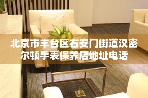 北京市丰台区右安门街道汉密尔顿手表保养店地址电话