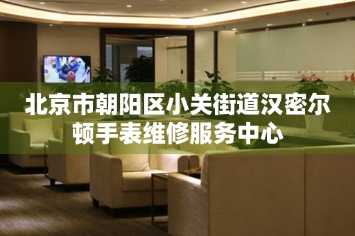  北京市朝阳区小关街道汉密尔顿手表维修服务中心 网点查询