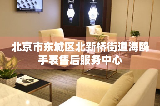 北京市东城区北新桥街道海鸥手表售后服务中心