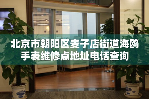 北京市朝阳区麦子店街道海鸥手表维修点地址电话查询