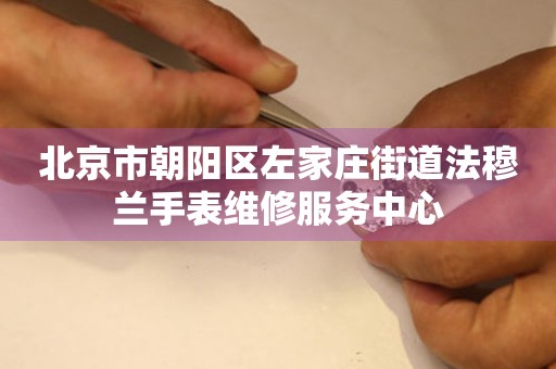 北京市朝阳区左家庄街道法穆兰手表维修服务中心