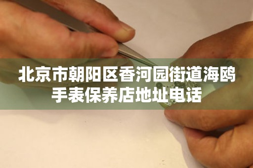 北京市朝阳区香河园街道海鸥手表保养店地址电话