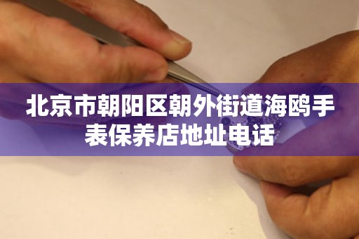 北京市朝阳区朝外街道海鸥手表保养店地址电话