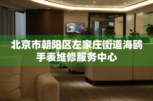 北京市朝阳区左家庄街道海鸥手表维修服务中心
