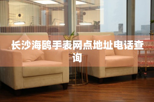 长沙海鸥手表网点地址电话查询 长沙海鸥手表网点地址电话查询