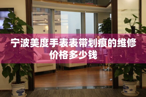 宁波美度手表表带划痕的维修价格多少钱(图) 宁波美度手表表带划痕的维修价格多少钱(图)