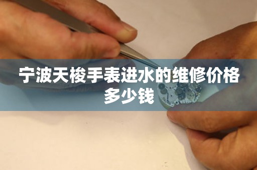 宁波天梭手表进水的维修价格多少钱 手表维修知识库  宁波天梭手表进水的维修价格多少钱 手表维修知识库