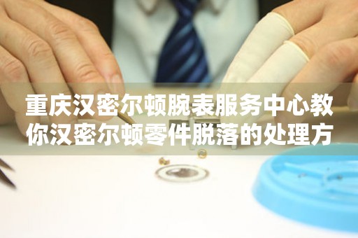 重庆汉密尔顿腕表服务中心教你汉密尔顿零件脱落的处理方法 手表维修知识库  重庆汉密尔顿腕表服务中心教你汉密尔顿零件脱落的处理方法 手表维修知识库