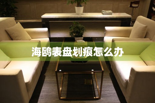  海鸥表盘划痕怎么办 手表维修知识库