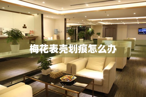 梅花表壳划痕怎么办 手表维修知识库
