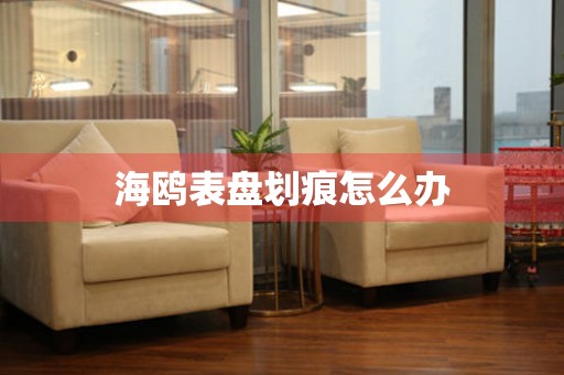  海鸥表盘划痕怎么办 手表维修知识库